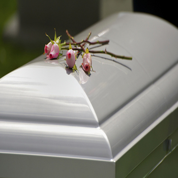 mariachimonumentalmexicofl 21